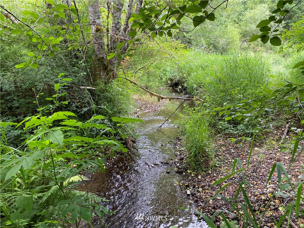 -xxx West Beeville Loop Road Matlock, WA 98560 - Photo 10 of 13 Gallery Image 10