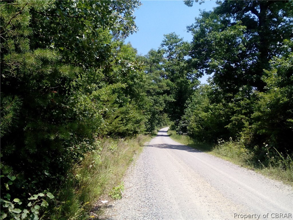 275-ac Spring Garden Road Center Cross, VA 22437 - Photo 11 of 11 Gallery Image 11