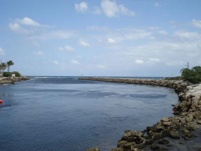 a view of an ocean and beach
