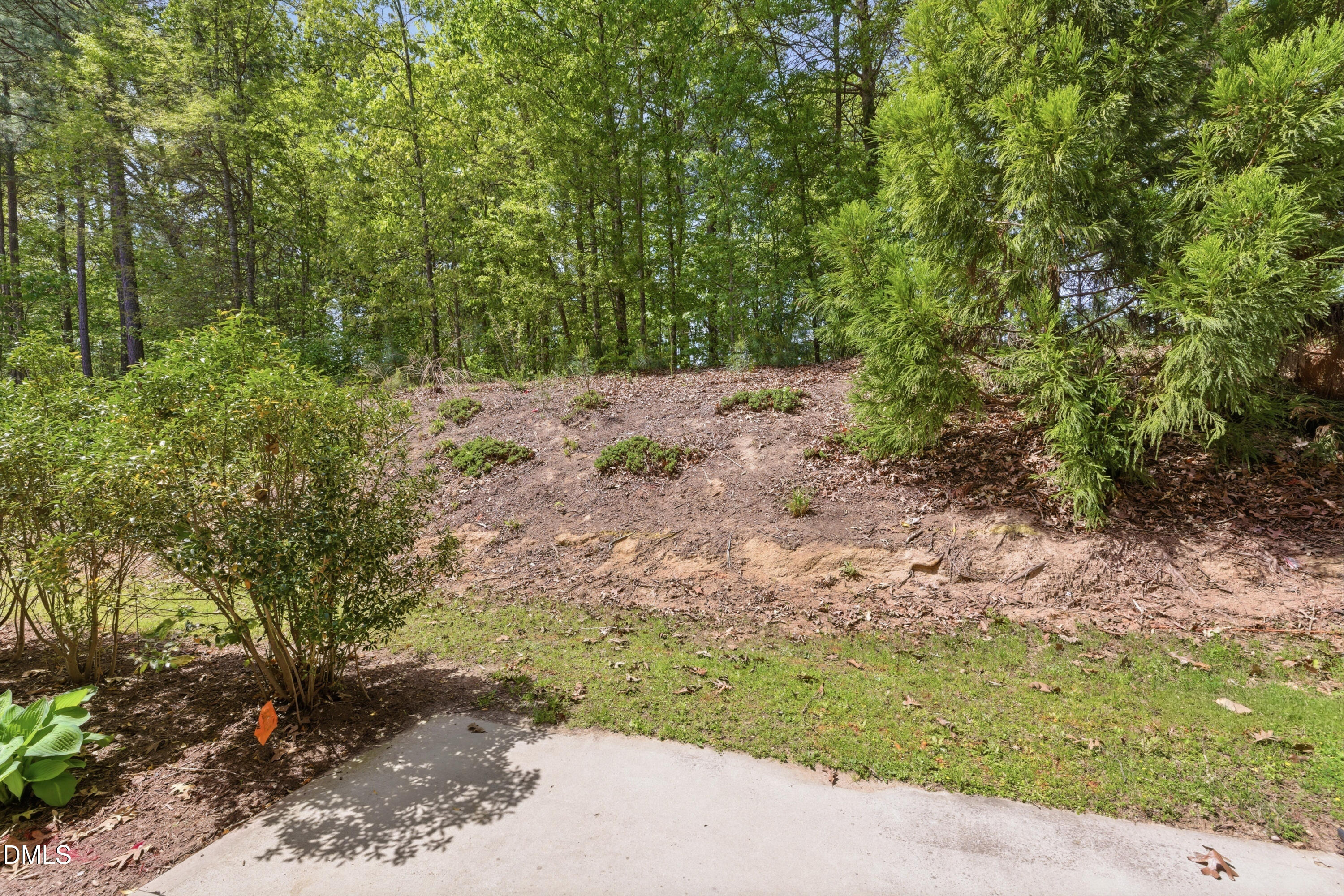 1044 Flagler Street Durham, NC 27713 - Photo 31 of 33 a view of a yard with plants and large trees