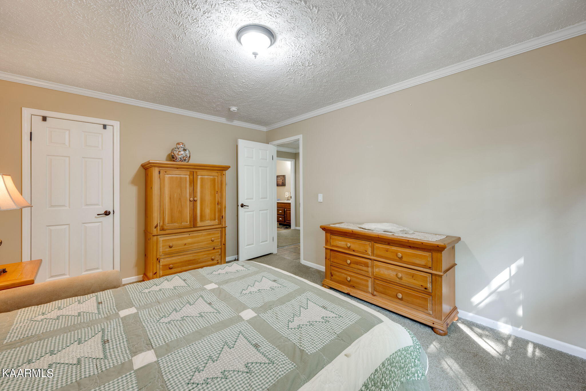 86 Chestnut Ridge Road Spring City, TN 37381 - Photo 24 of 59 4-web-or-mls-_DSC3145-4-43