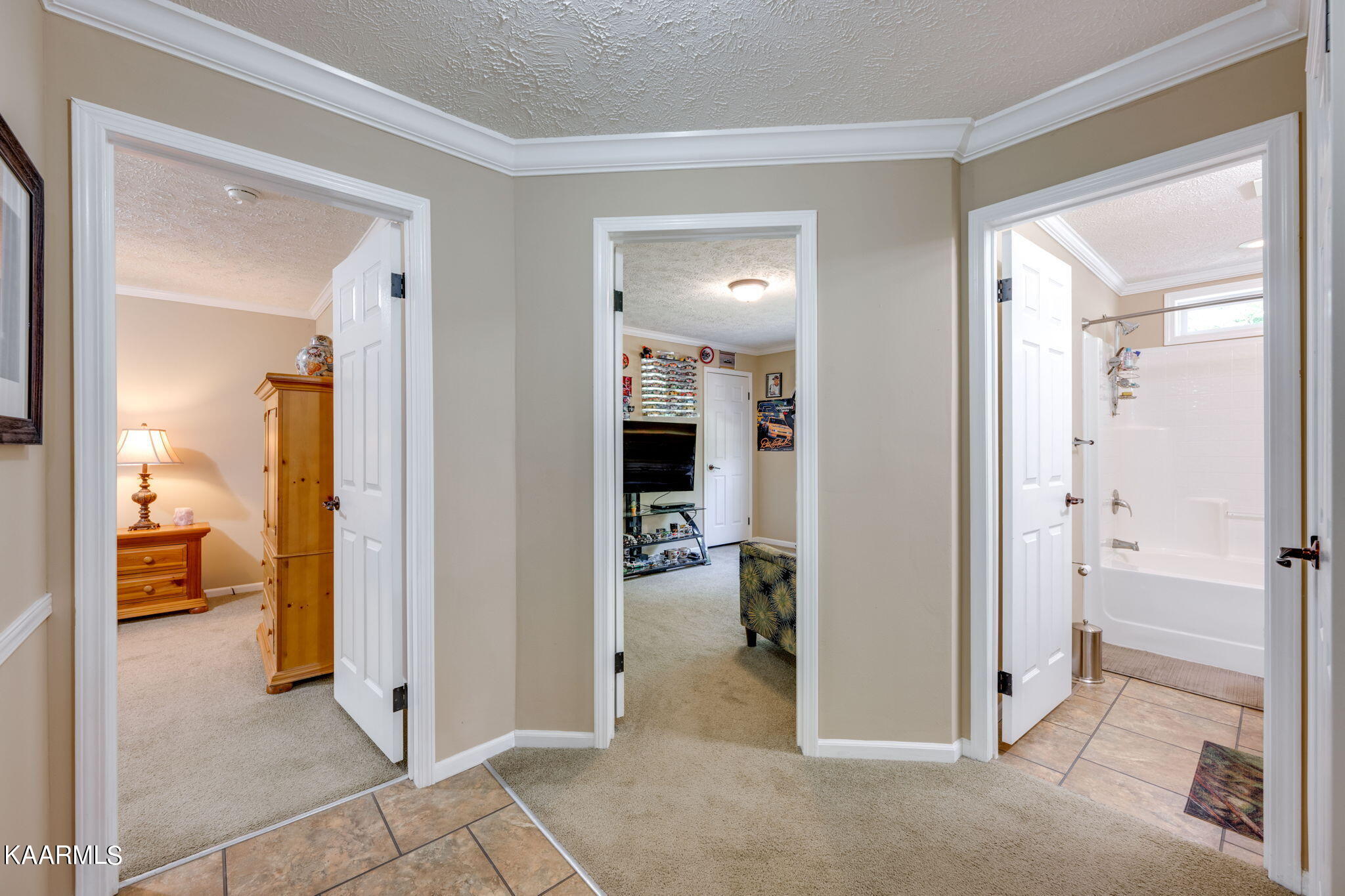 86 Chestnut Ridge Road Spring City, TN 37381 - Photo 27 of 59 7-web-or-mls-_DSC3154-13-46