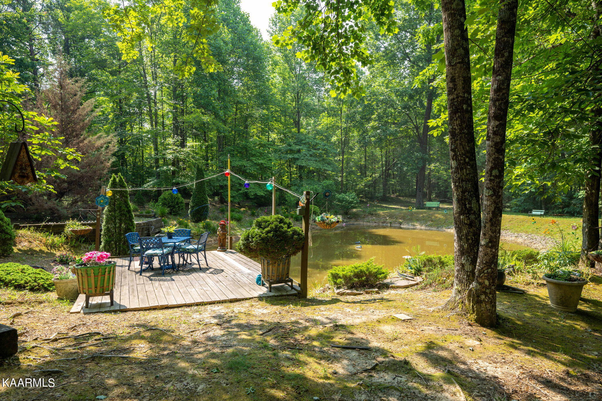 86 Chestnut Ridge Road Spring City, TN 37381 - Photo 36 of 59 40-web-or-mls-_DSC3246-102-9