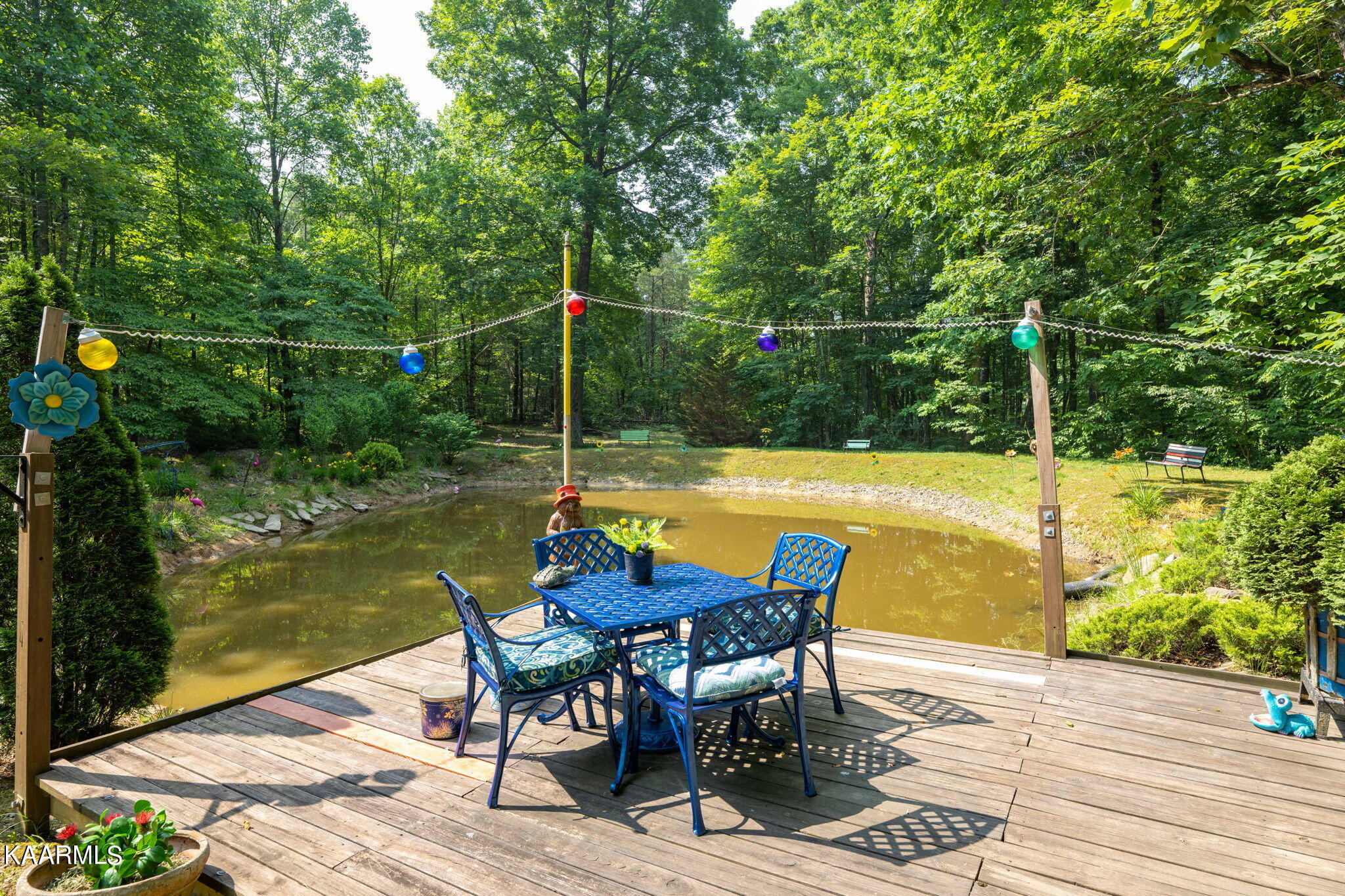 86 Chestnut Ridge Road Spring City, TN 37381 - Photo 37 of 59 41-web-or-mls-_DSC3247-103-10