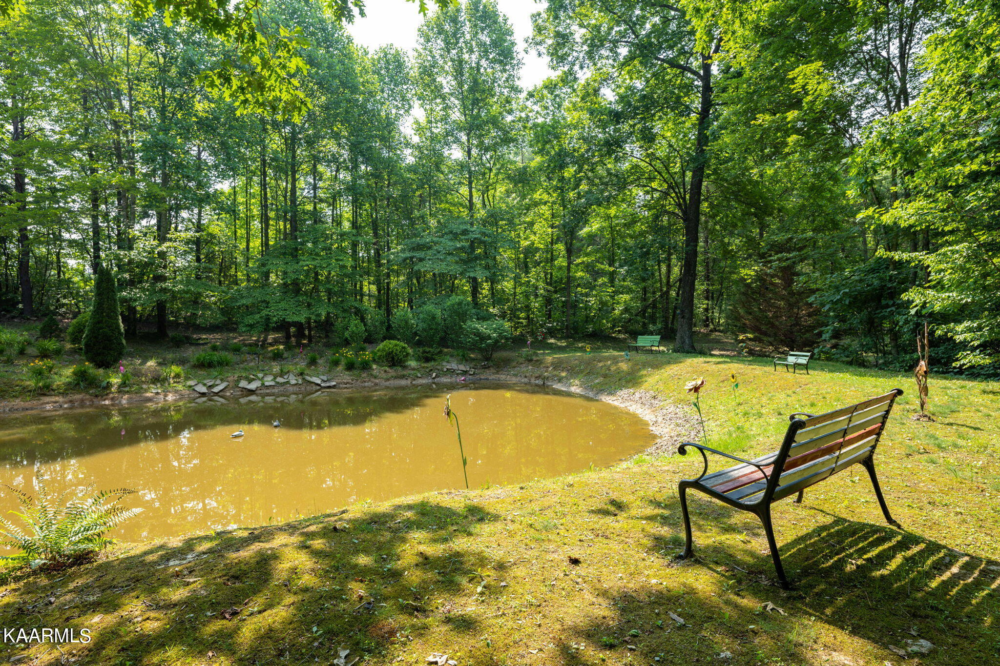 86 Chestnut Ridge Road Spring City, TN 37381 - Photo 38 of 59 42-web-or-mls-_DSC3248-104-11