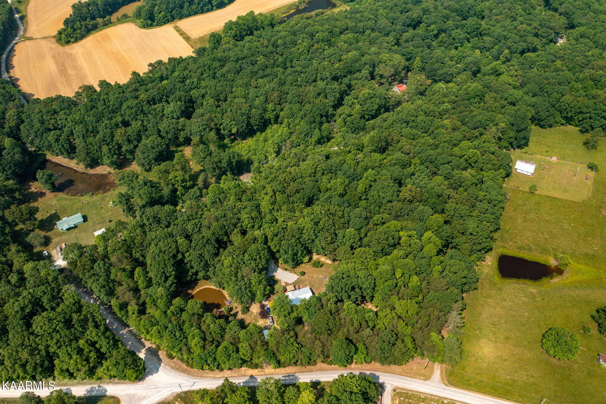 86 Chestnut Ridge Road Spring City, TN 37381 - Photo 57 of 59 58