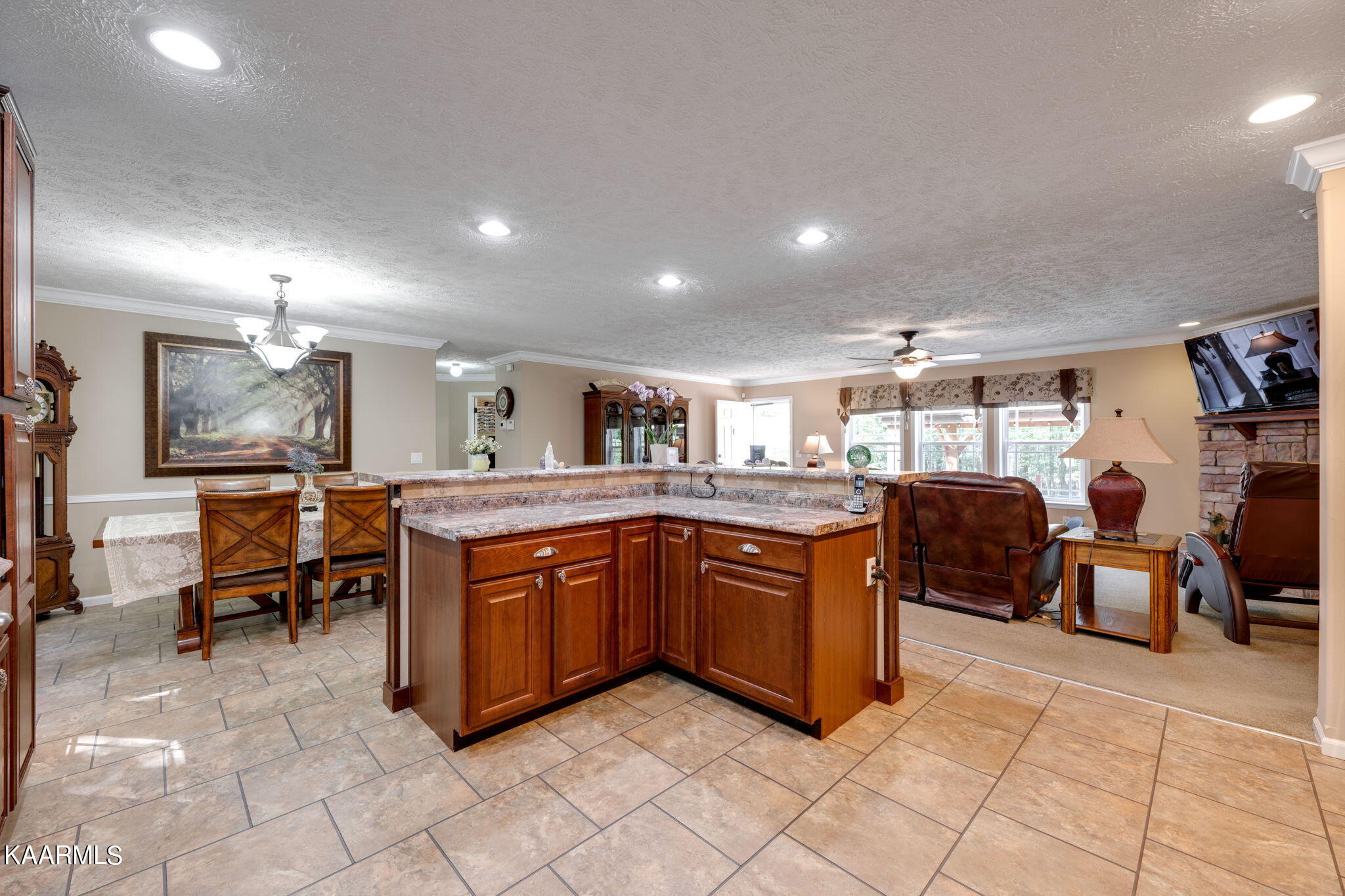 86 Chestnut Ridge Road Spring City, TN 37381 - Photo 9 of 59 17-web-or-mls-_DSC3187-43-56