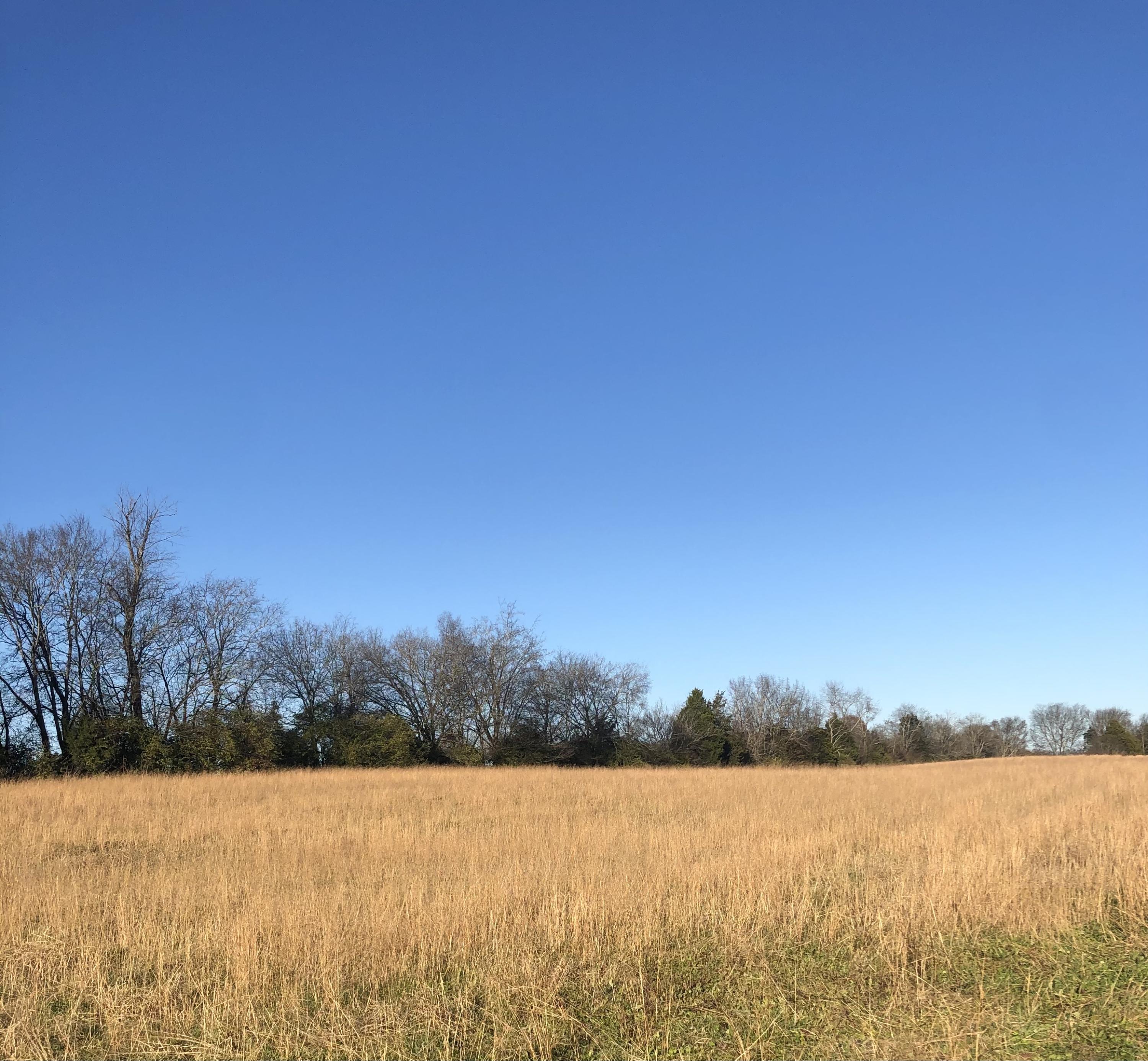 Judson Road Strawberry Plains, TN 37871 - Photo 1 of 5 7730754A-9836-43B2-AB20-0756DAB78D05