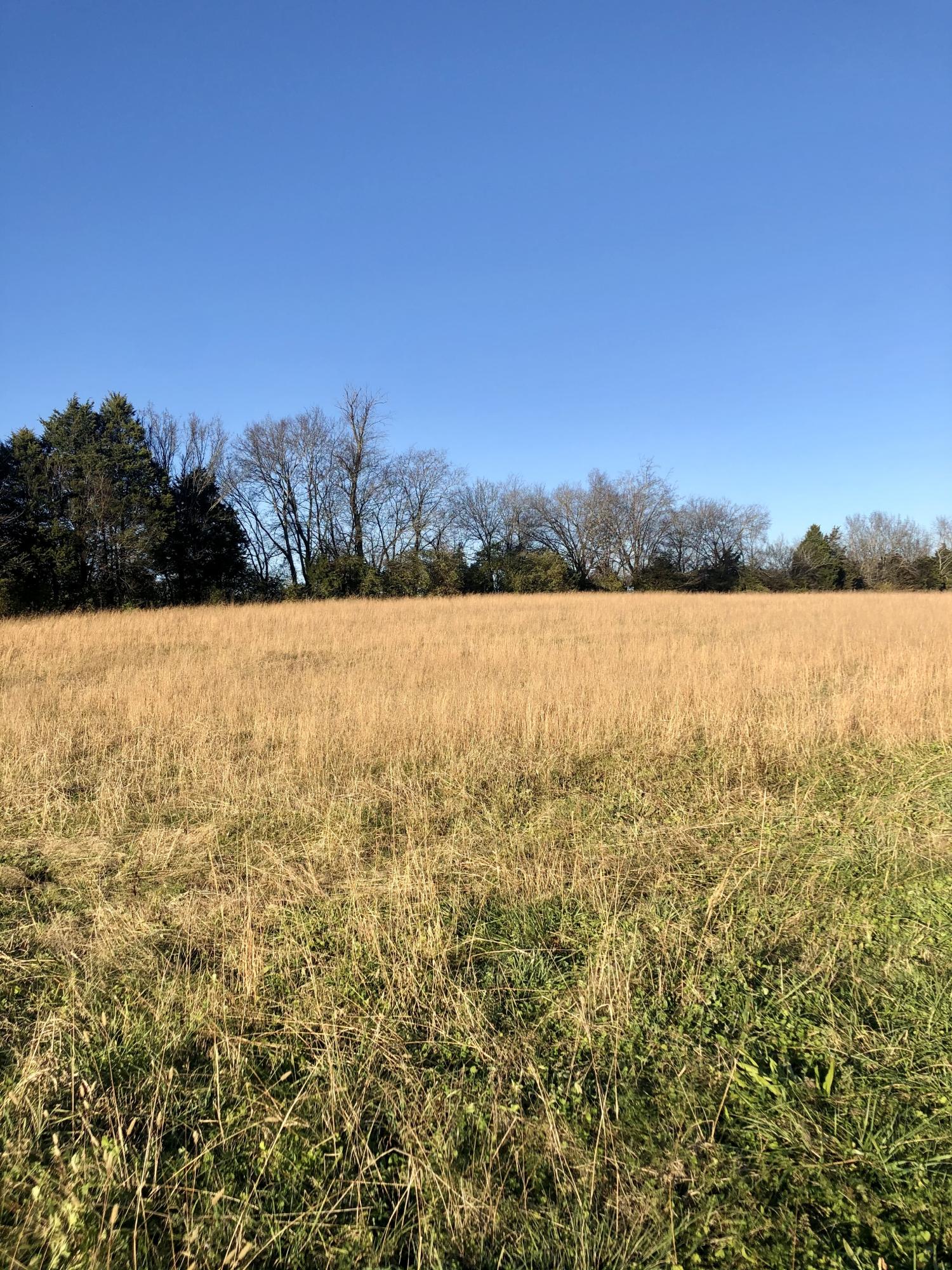 Judson Road Strawberry Plains, TN 37871 - Photo 2 of 5 6F54BA6C-EC3C-49C6-9D70-901363E3A01D