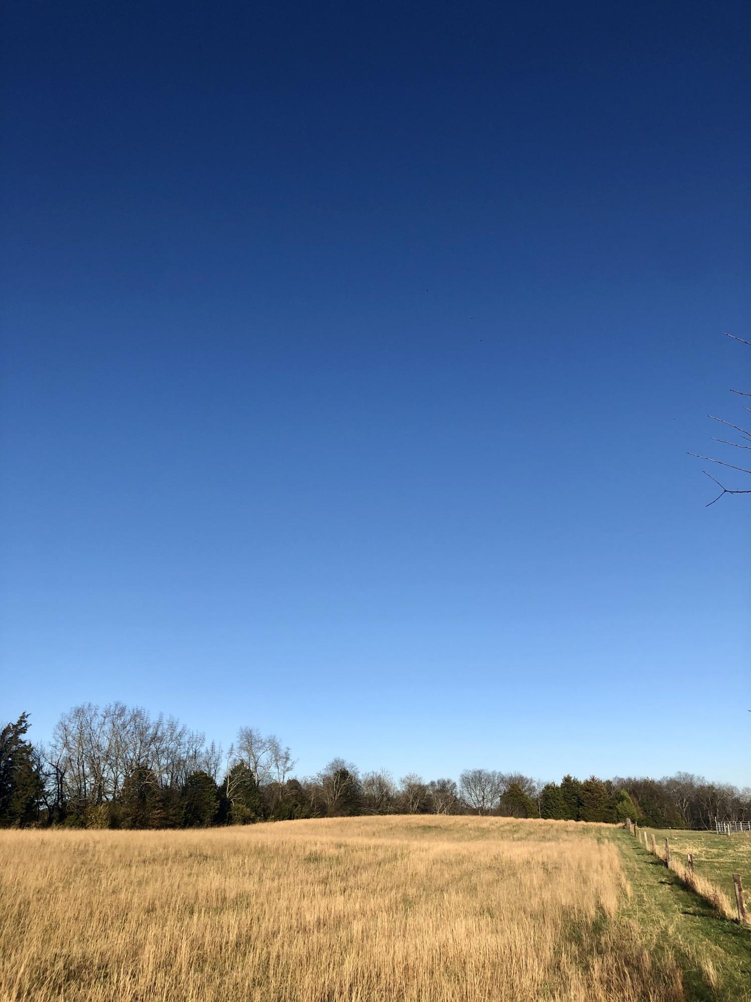 Judson Road Strawberry Plains, TN 37871 - Photo 3 of 5 39791344-9324-4302-9AFD-678BA76F9CB2