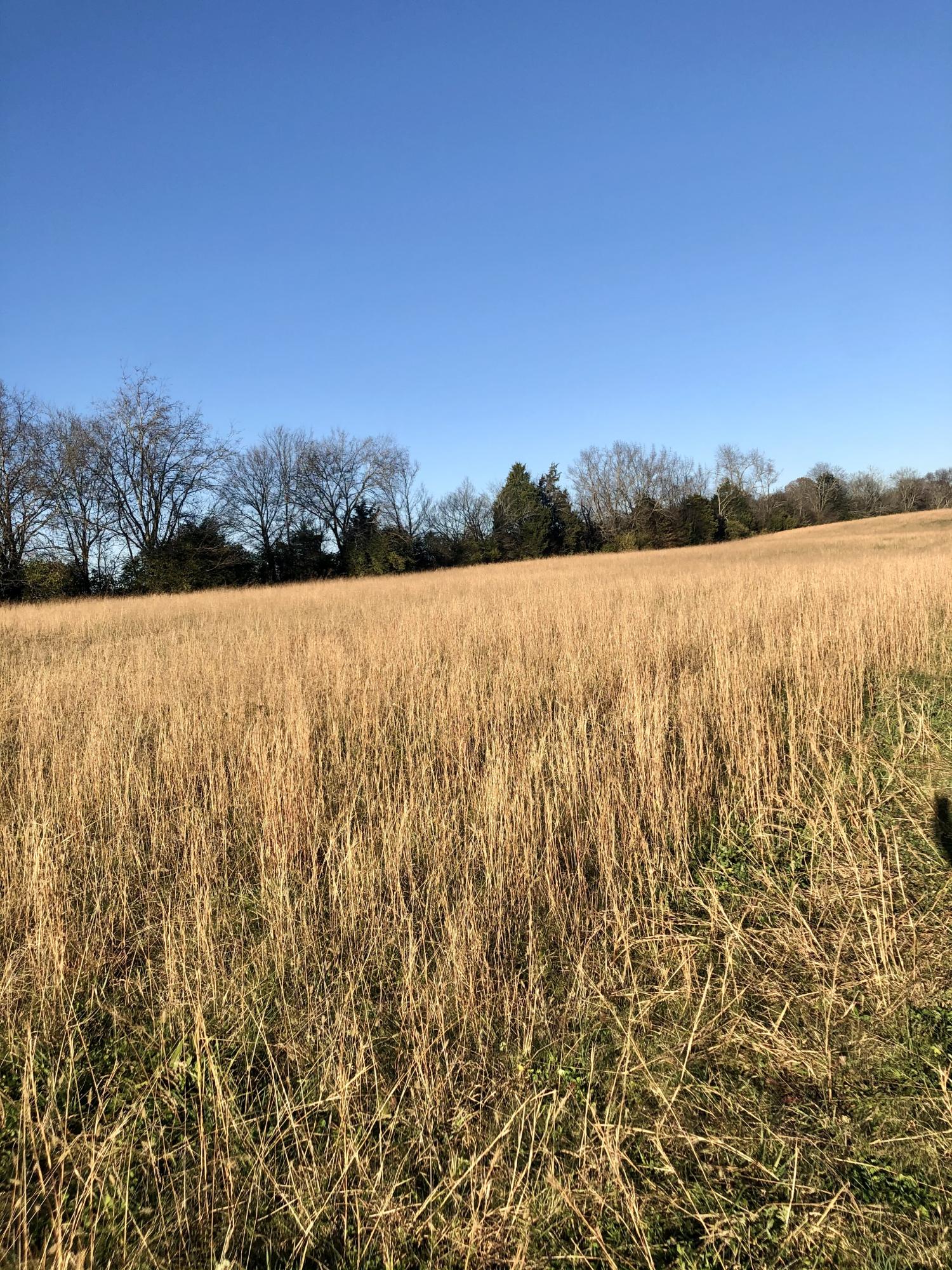 Judson Road Strawberry Plains, TN 37871 - Photo 4 of 5 E83688EC-CA81-4EDC-ABC2-551F82DCF624