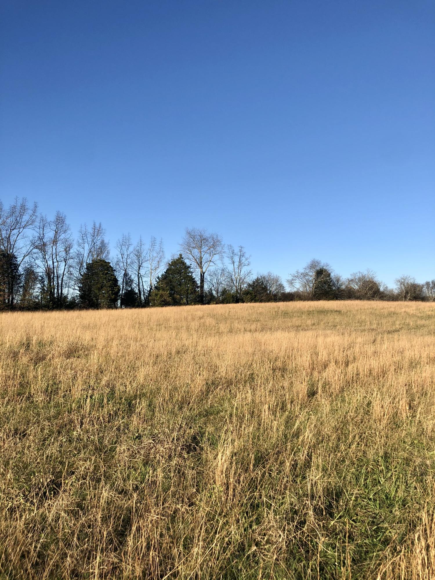 Judson Road Strawberry Plains, TN 37871 - Photo 5 of 5 5BFEB5A8-6D93-4AA4-90DC-C77F04876F4D