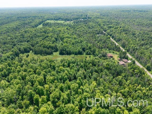 509 Dukes Road Skandia, MI 49885 - Photo 44 of 63