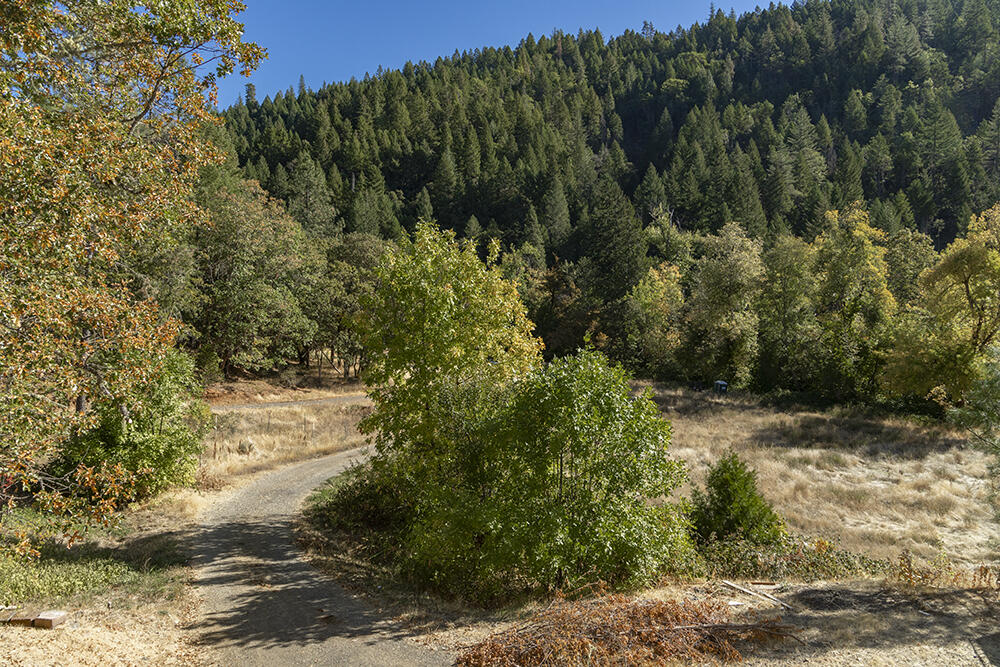 950 Bear Creek Road Selma, OR 97538 - Photo 22 of 36 IMG_5090