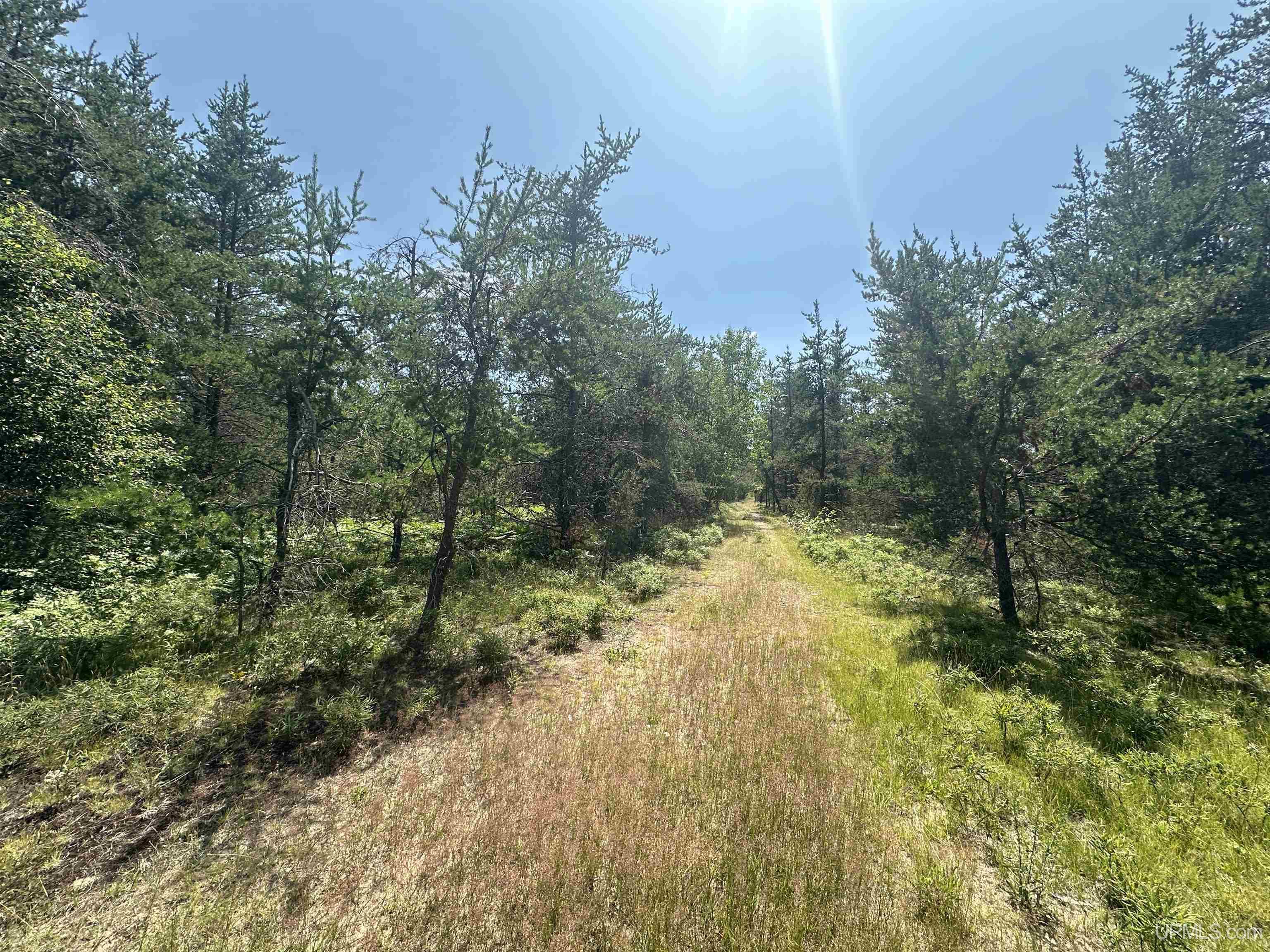 2020-2050 Co Road Little Lake, MI 49833 - Photo 35 of 39