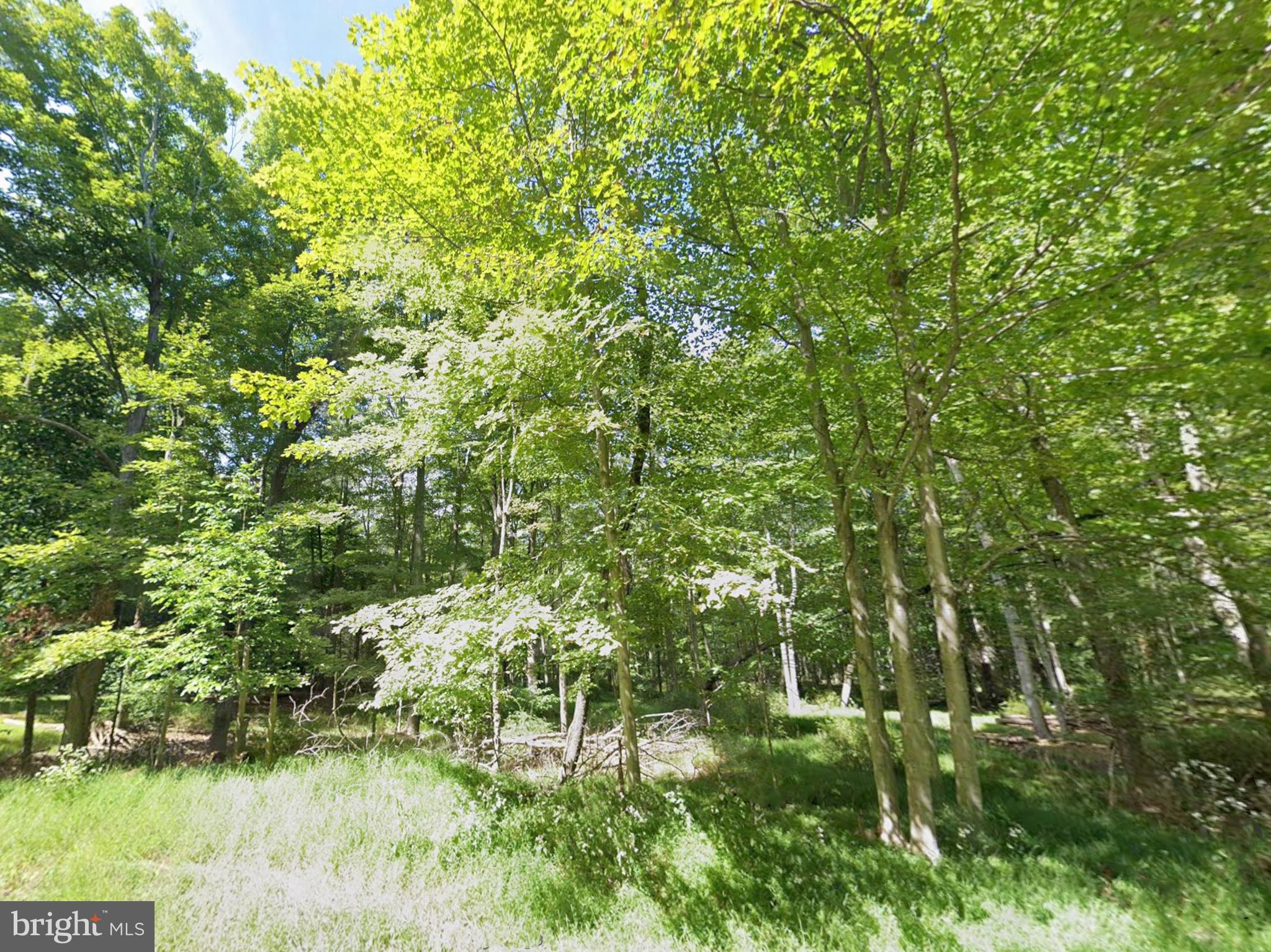 0 Juniata Valley Road Hollidaysburg, PA 16648 - Photo 4 of 13 a view of a garden