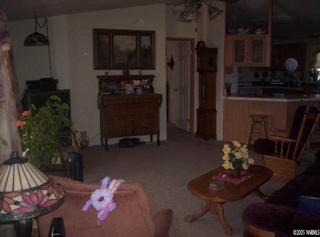 720 Sutro Springs Road Dayton, NV 89403 - Photo 4 of 6 Photo 4