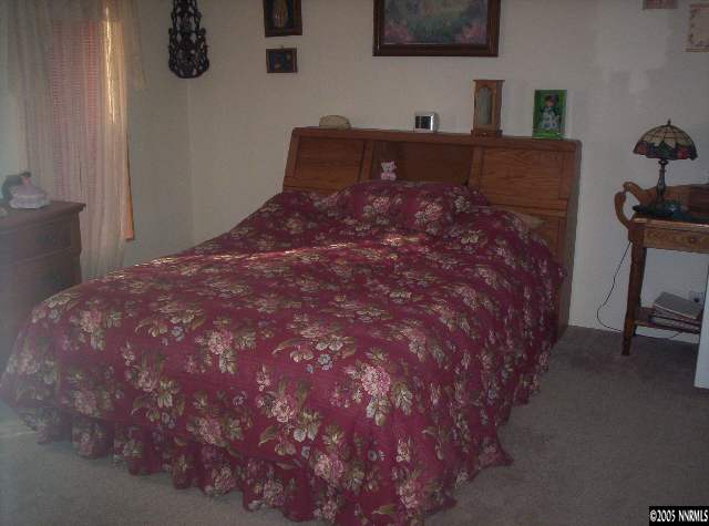 720 Sutro Springs Road Dayton, NV 89403 - Photo 5 of 6 Photo 5