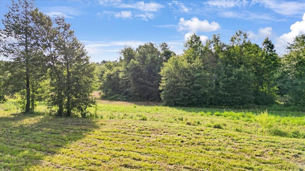 Tbd South Live Oak Road Gilmer, TX 75644 - Photo 11 of 13 a view of a yard with large trees