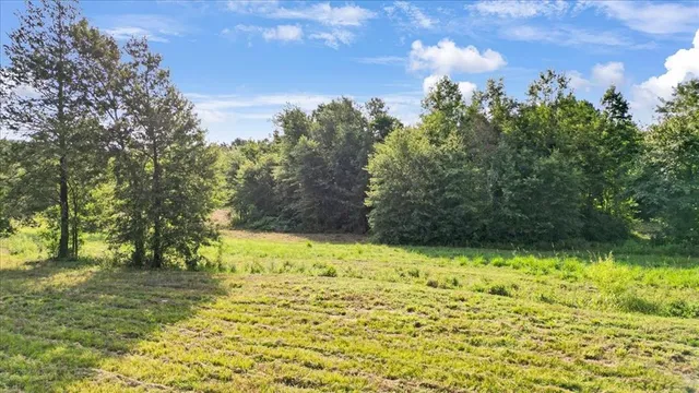 a view of a yard with large trees