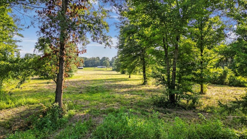 Tbd South Live Oak Road Gilmer, TX 75644 - Photo 18 of 18 a view of a yard with trees