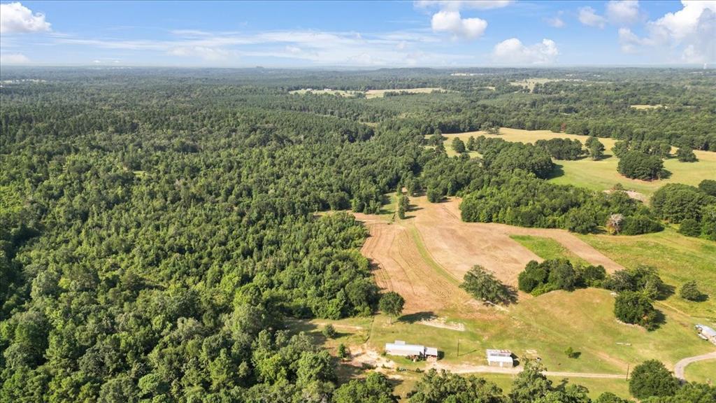 Tbd South Live Oak Road Gilmer, TX 75644 - Photo 2 of 13 a view of a city