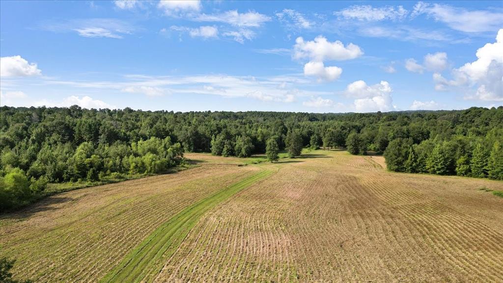 Tbd South Live Oak Road Gilmer, TX 75644 - Photo 3 of 18 a view of a terrace