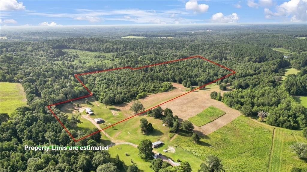 Tbd South Live Oak Road Gilmer, TX 75644 - Photo 5 of 18 a view of a city