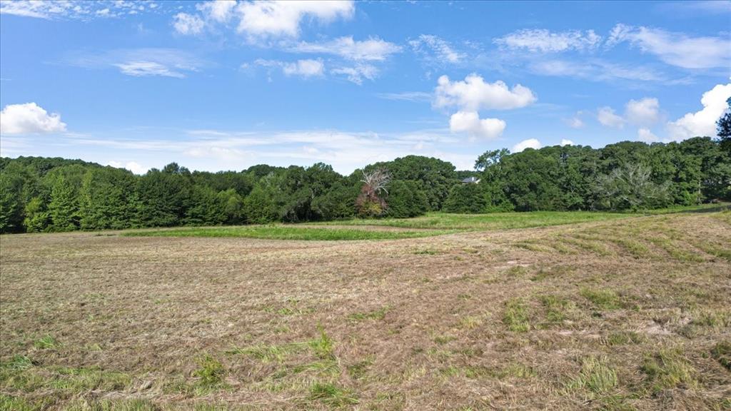 Tbd South Live Oak Road Gilmer, TX 75644 - Photo 8 of 13 a view of an outdoor space and a yard