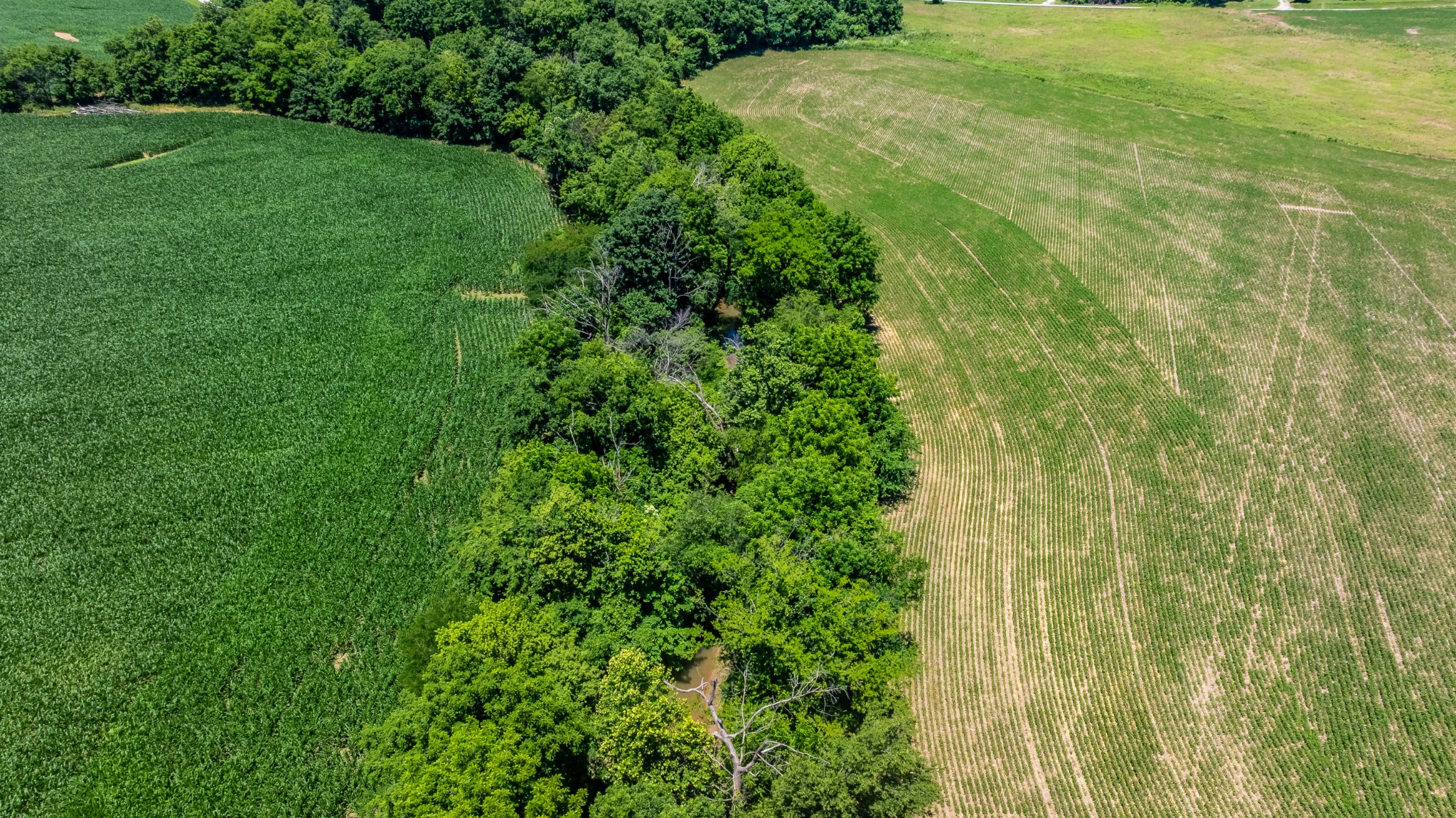 0 B B White Road Elkton, KY 42220 - Photo 16 of 16