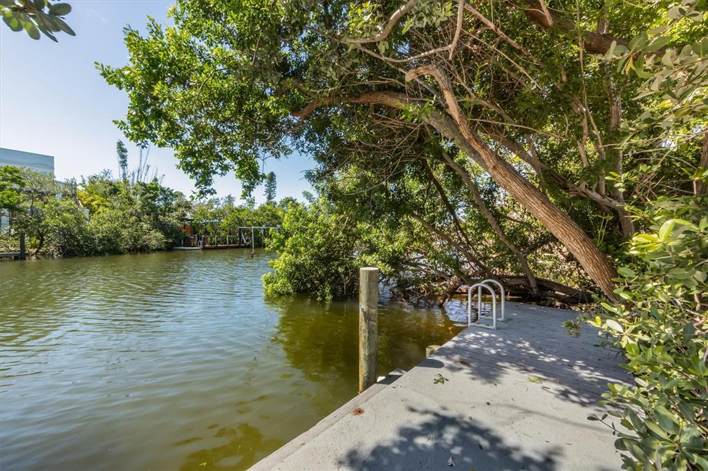 413 Poinsettia Road Anna Maria, FL 34216 - Photo 38 of 60