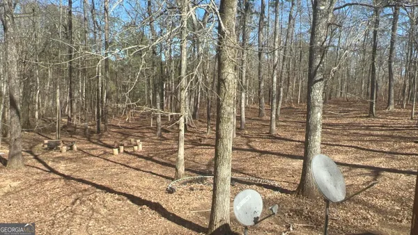 $230,000 | 73 Friendship Church Road, Buchanan, GA 30113