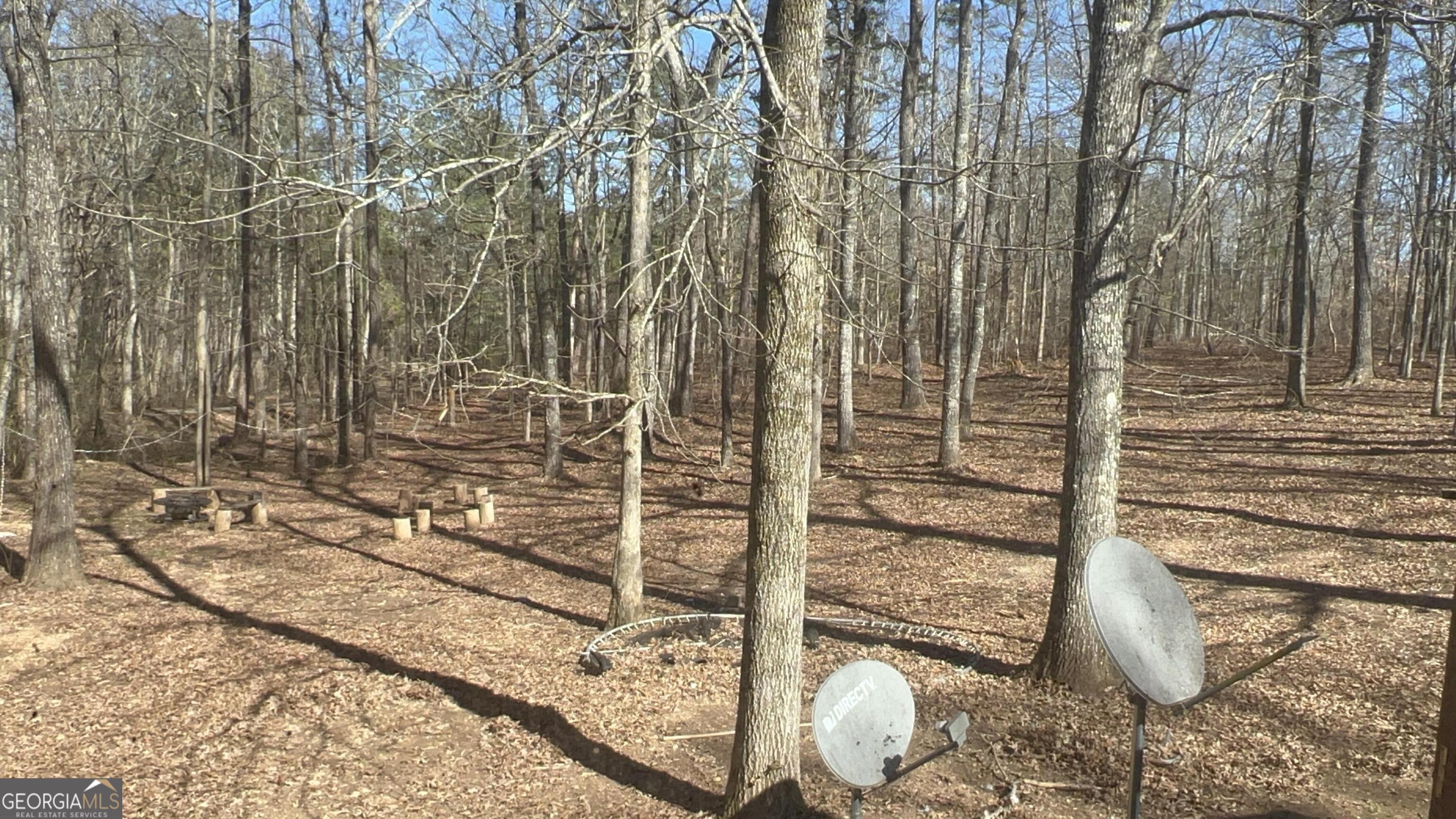 73 Friendship Church Road Buchanan, GA 30113 - Photo 25 of 35