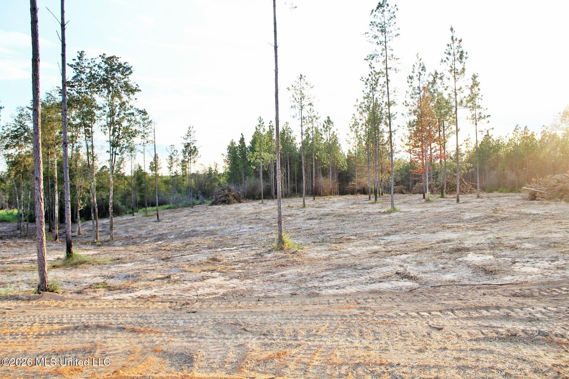 Lot 18 Little Cedar Road Lucedale, MS 39452 - Photo 10 of 13 IMG_4207