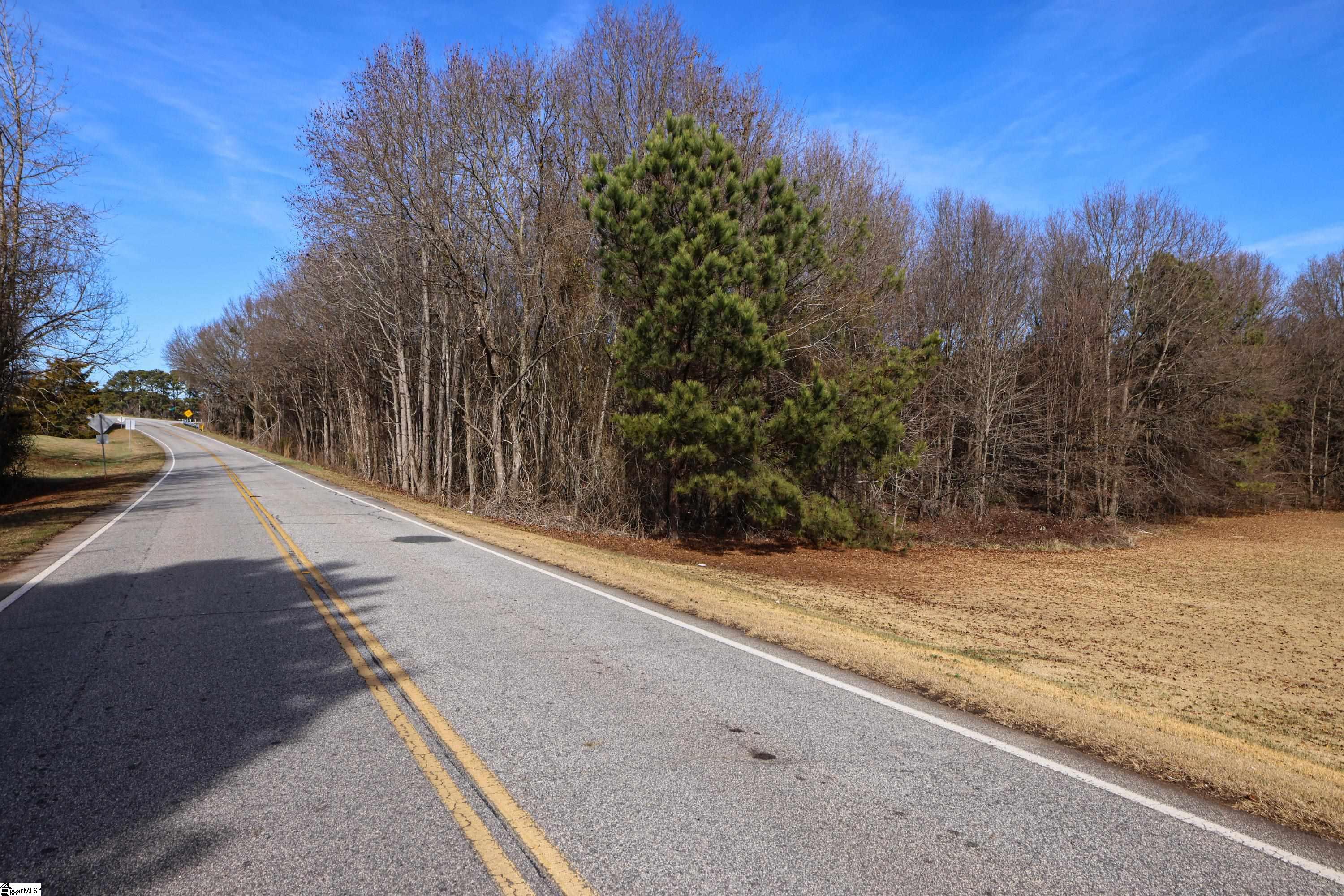Lot 3 Reidville Road, Unit LOT 3A 2 ACRES Williamston, SC 29697 - Photo 14 of 14