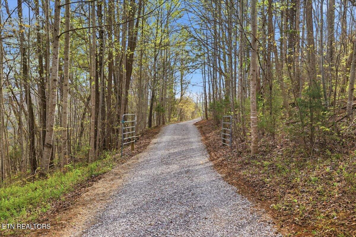 542 Jackson Hollow Road Thorn Hill, TN 37881 - Photo 39 of 52 39-542_Jackson_Hollow_Rd_015
