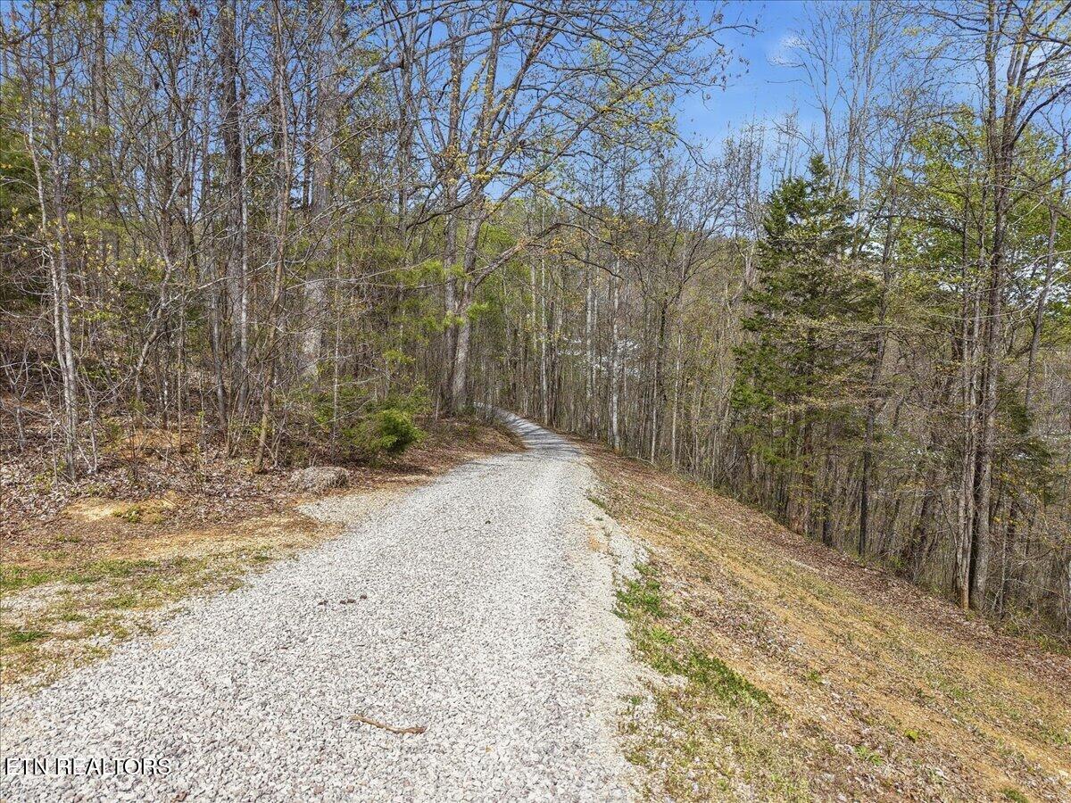 542 Jackson Hollow Road Thorn Hill, TN 37881 - Photo 40 of 52 40-542_Jackson_Hollow_Rd_010