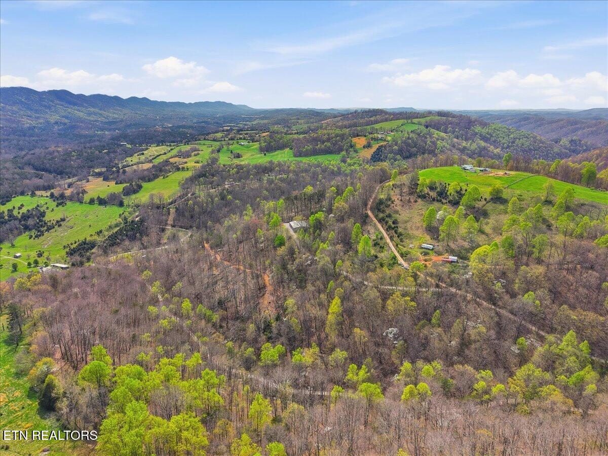542 Jackson Hollow Road Thorn Hill, TN 37881 - Photo 43 of 52 43-542_Jackson_Hollow_Rd_002