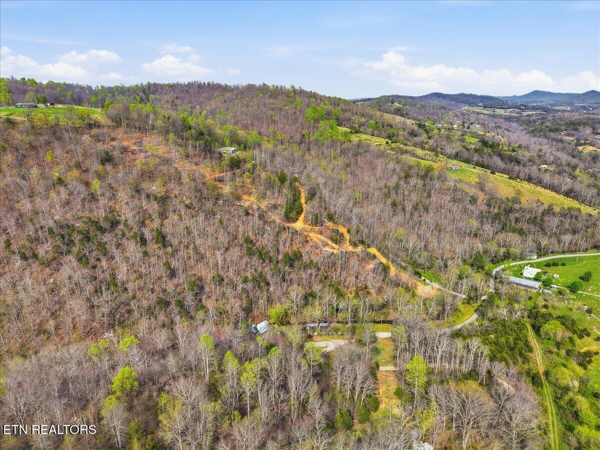 542 Jackson Hollow Road Thorn Hill, TN 37881 - Photo 47 of 52 47-542_Jackson_Hollow_Rd_013