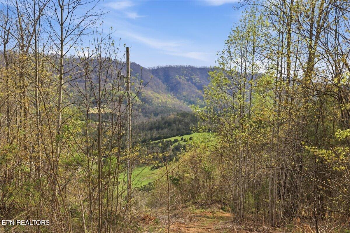 542 Jackson Hollow Road Thorn Hill, TN 37881 - Photo 49 of 52 49-542_Jackson_Hollow_Rd_049