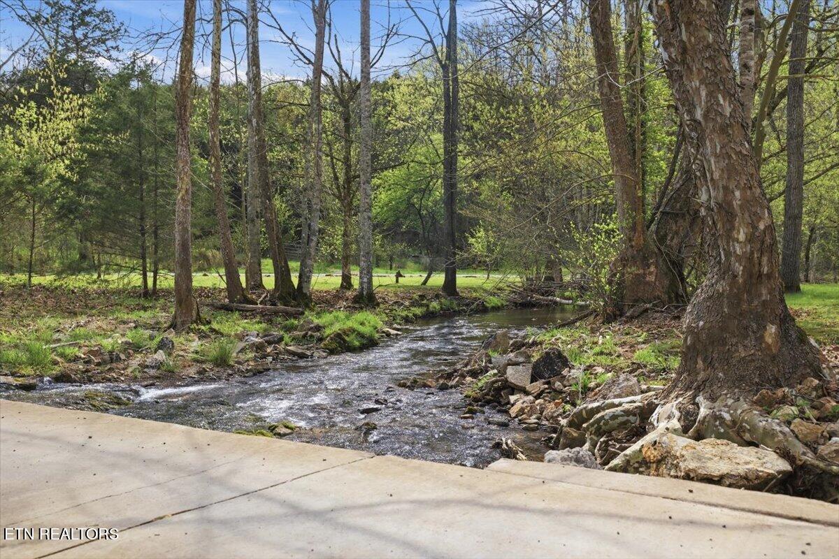 542 Jackson Hollow Road Thorn Hill, TN 37881 - Photo 50 of 52 52-542_Jackson_Hollow_Rd_052
