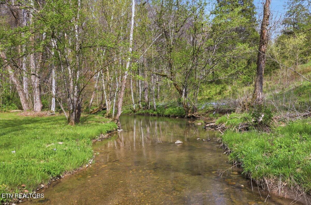 542 Jackson Hollow Road Thorn Hill, TN 37881 - Photo 51 of 52 53-542_Jackson_Hollow_Rd_053