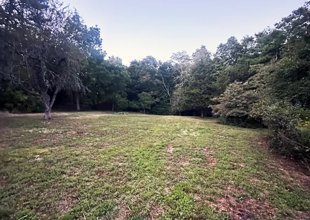 a view of an outdoor space and a yard