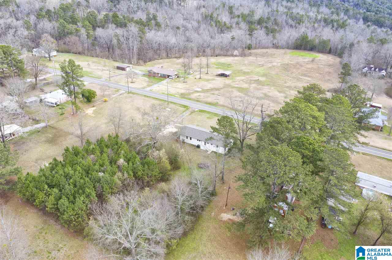 3594 Mt Olive Road Mount Olive, AL 35117 - Photo 2 of 19