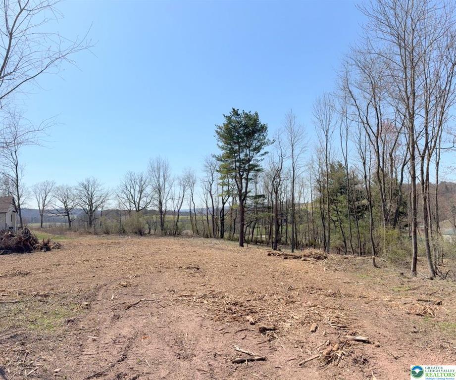 16 Ricks Road New Ringgold, PA 17960 - Photo 4 of 18 A cleared building lot awaits your new home, bordered by mature trees and verdant hillsides.