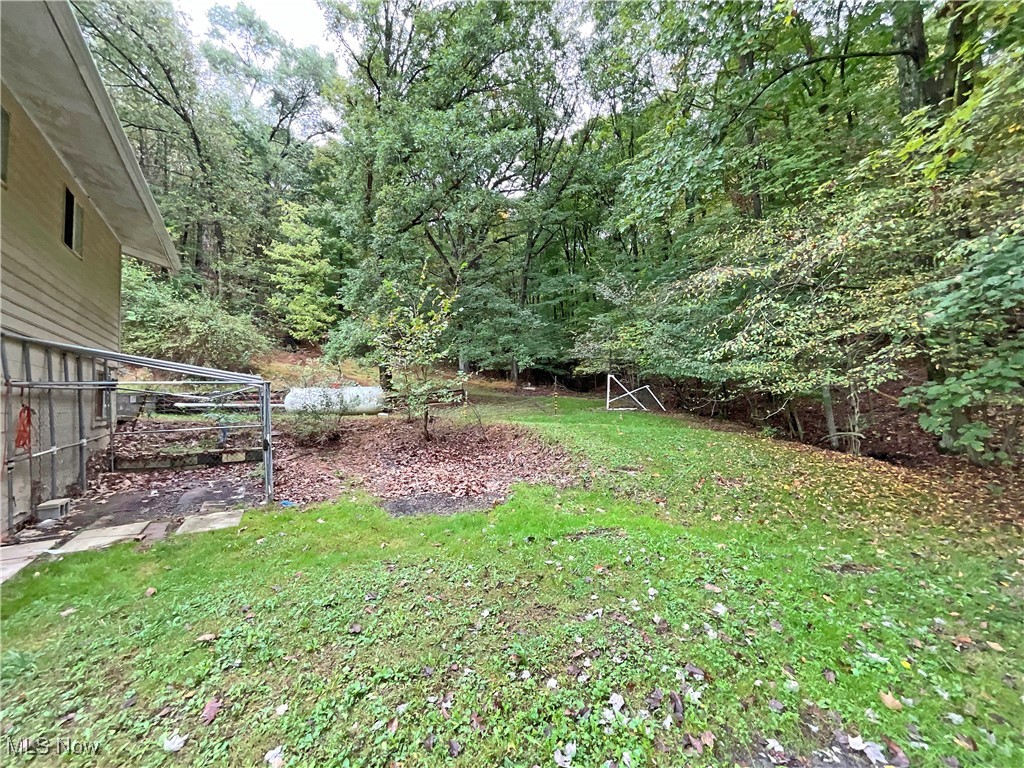 6568 Wylie Ridge Road New Cumberland, WV 26047 - Photo 23 of 28 View of yard