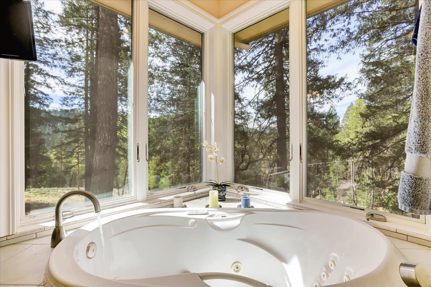 10973 Scotts Flat Dam Road Nevada City, CA 95959 - Photo 39 of 91