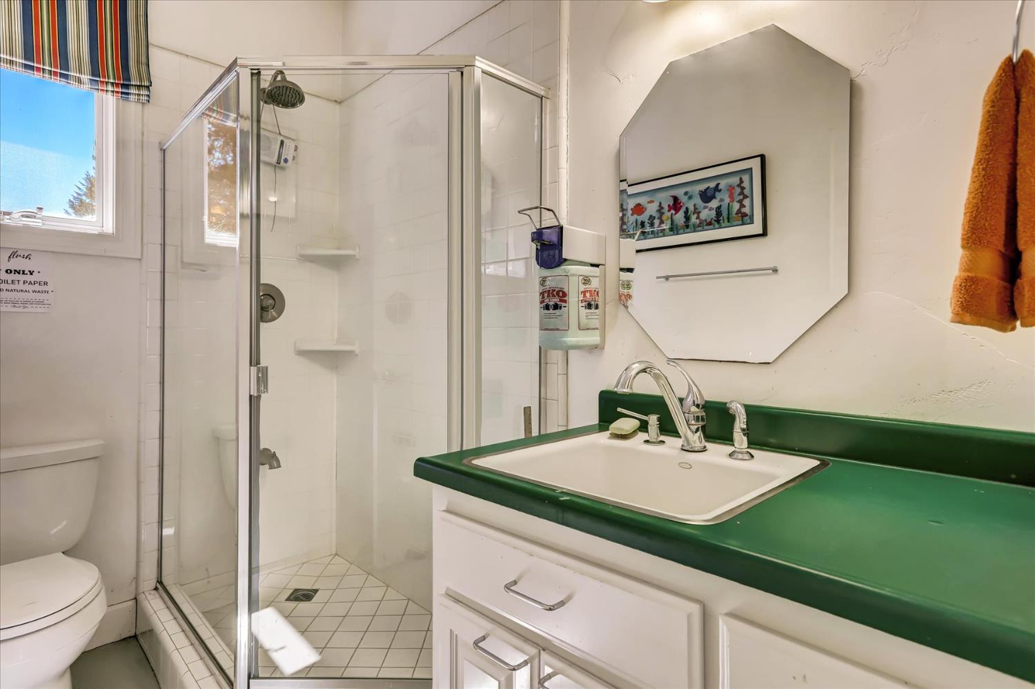 10973 Scotts Flat Dam Road Nevada City, CA 95959 - Photo 54 of 91 a bathroom with a sink a toilet and shower