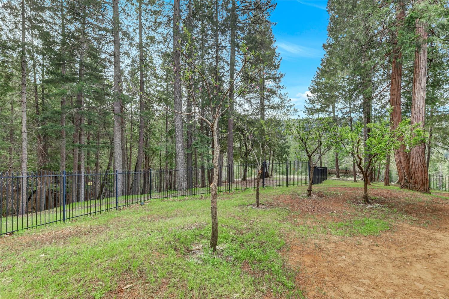 10973 Scotts Flat Dam Road Nevada City, CA 95959 - Photo 61 of 91