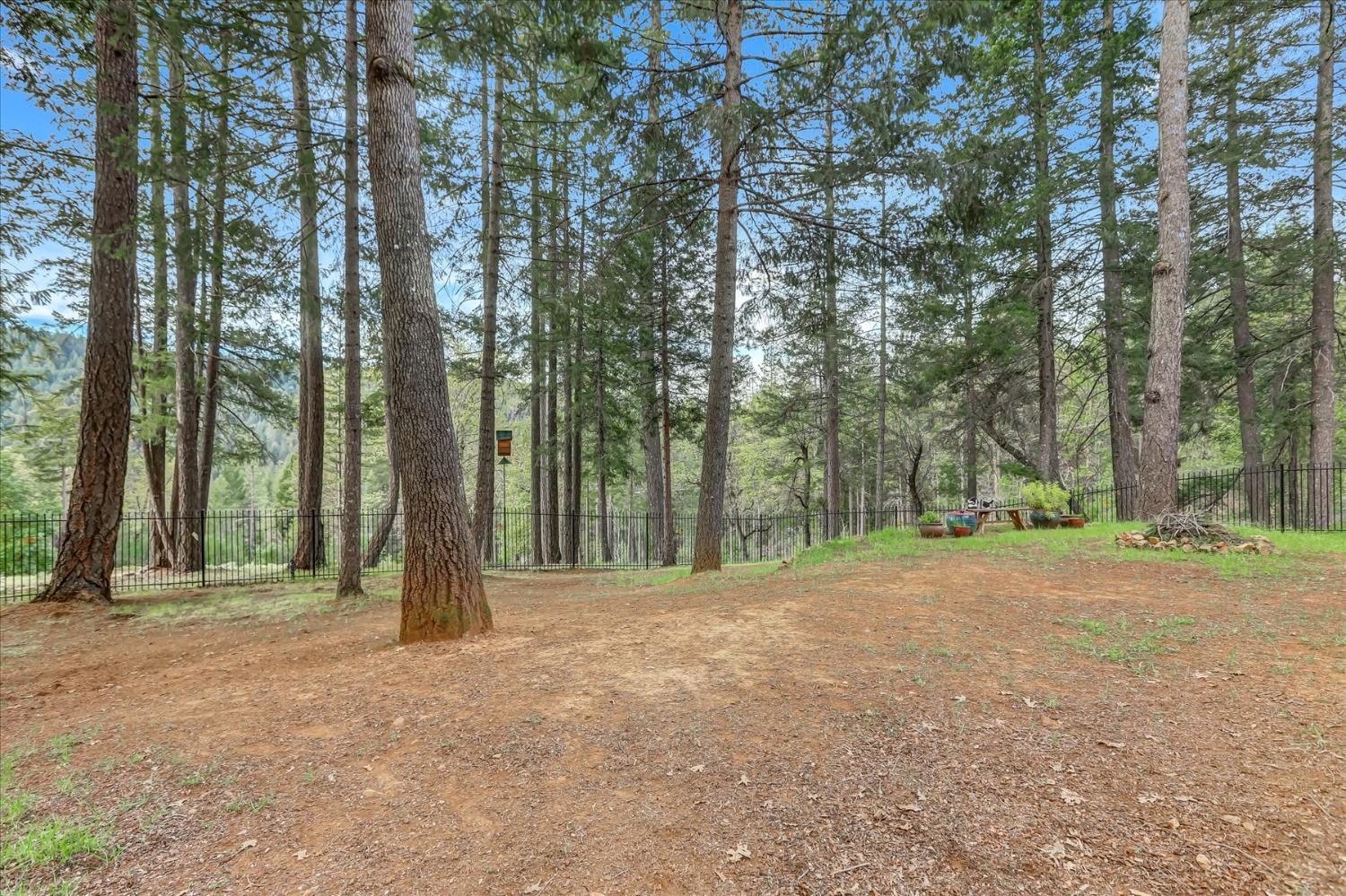 10973 Scotts Flat Dam Road Nevada City, CA 95959 - Photo 63 of 91 a backyard of a house with large trees